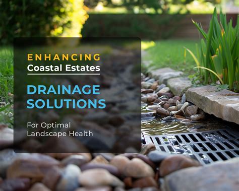 Drainage solutions for optimal landscape health | Estate Care