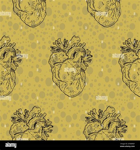 Human heart seamless pattern Stock Vector Image & Art - Alamy