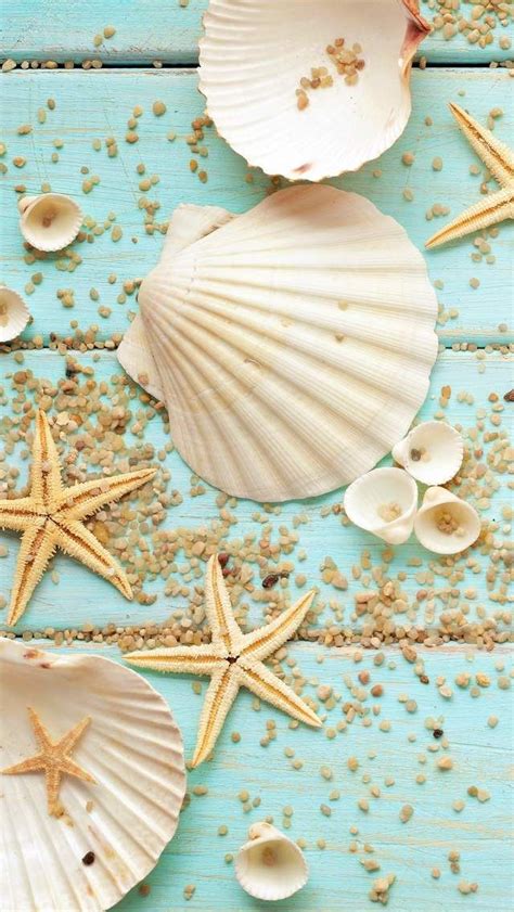 Seashell Cellphone Wallpaper | Summer wallpaper, Cellphone wallpaper ...