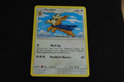 Herdier Pokemon Cards - Find Pokemon Card Pictures With Our Database ...