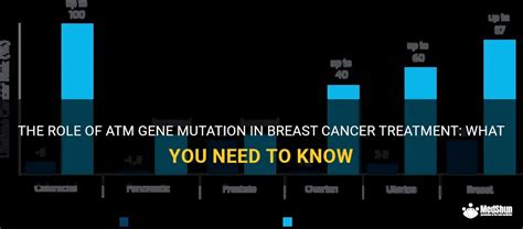 The Role Of Atm Gene Mutation In Breast Cancer Treatment: What You Need ...