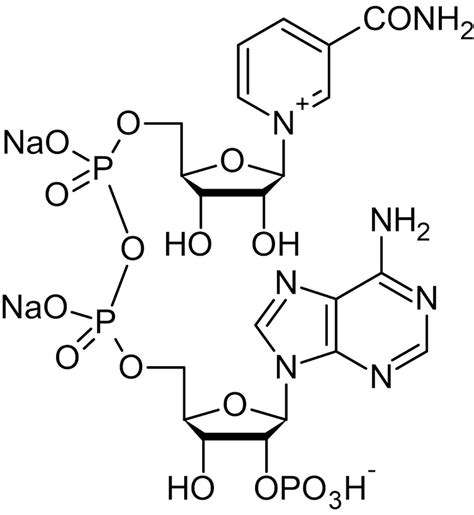 NADP, Coenzyme (CAS 24292-60-2) (ab146316) | Abcam