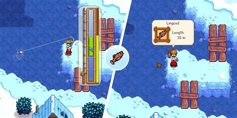 How To Find (& Catch) Lingcod In Stardew Valley