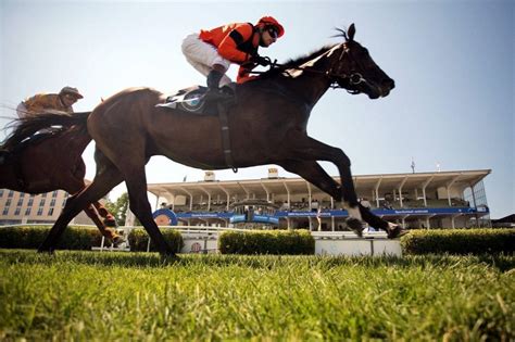 Everything You Need To Know About Lingfield Racecourse - Open Odds