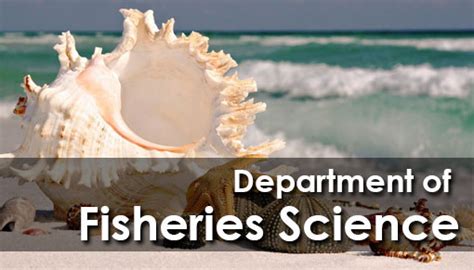 Bachelor of Science Honours in Fisheries Science - Best Degree Programs ...