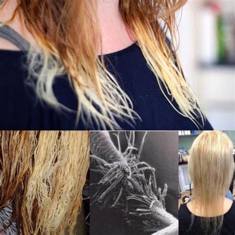 9 Best Treatments to Fix and Restore Fried Hair | Hair treatment damaged, Treatment for bleached ...