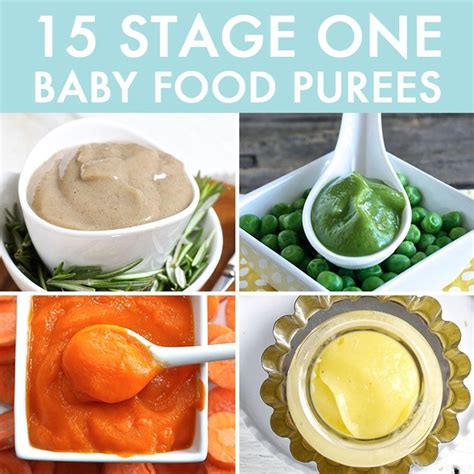 how to puree baby food stage 1 - Joana Pennell