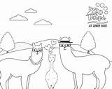 Llama coloring Sheet teaser  ZooTampa At Lowry Park sketch template
