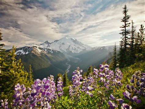 The Best National Parks in Washington State for Beach Camping ...