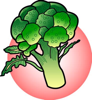 Image: Broccoli | Food Clip Art | Christart.com