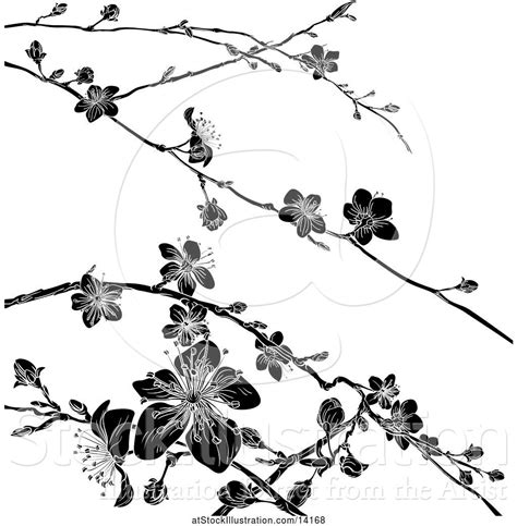 Vector Illustration of Black and White Cherry Blossom Branches ...