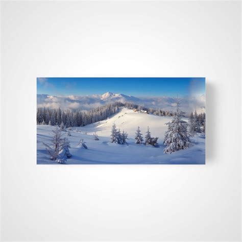 Winter Forest Cloth Backdrop XL