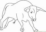 Strong Bull Coloring Page  Free Pages ColoringPages101com sketch template