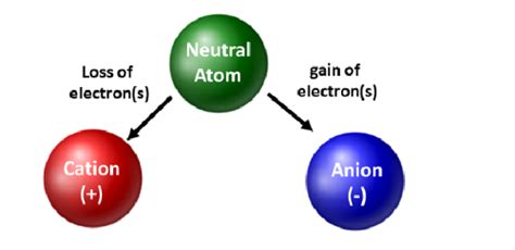 10 Differences Between Cations And Anions With Examples - VIVA DIFFERENCES