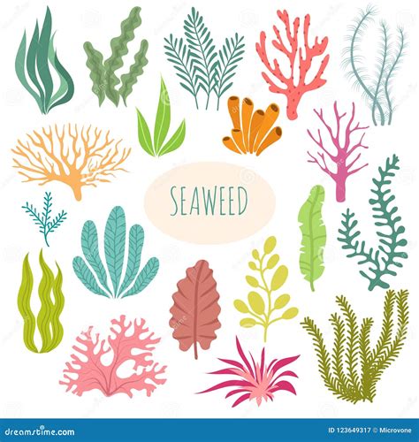 Underwater Plants In Cartoon Vector Style | CartoonDealer.com #64108268