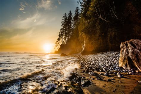 Hiked the incredible Juan de Fuca Trail on Vancouver Island, BC, Canada [3000x2000][OC] : r ...