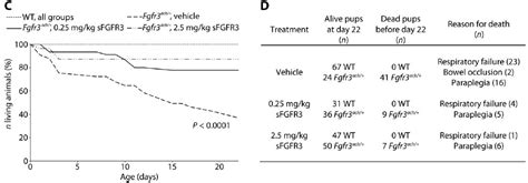 Axolotl Academic Publishing Co – Fixing Dwarf Mice