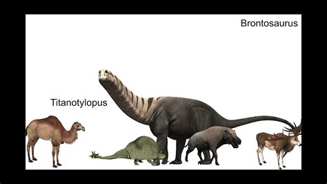 Brontosaurus Vs Prehistoric Creatures Size Comparison - YouTube