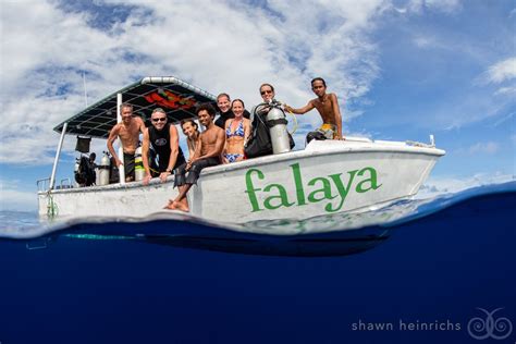 Tour module 8 days diving Misool Eco resort - Raja Ampat - Merapitours.com