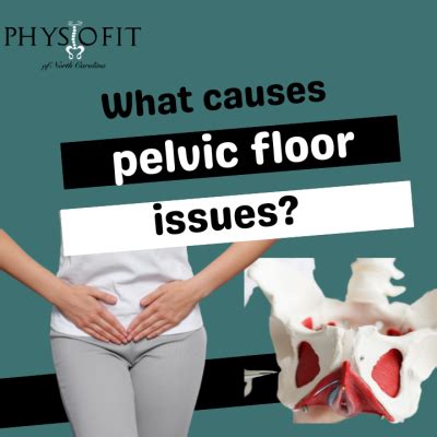 What are the causes of pelvic floor issues? - PhysioFit of NC