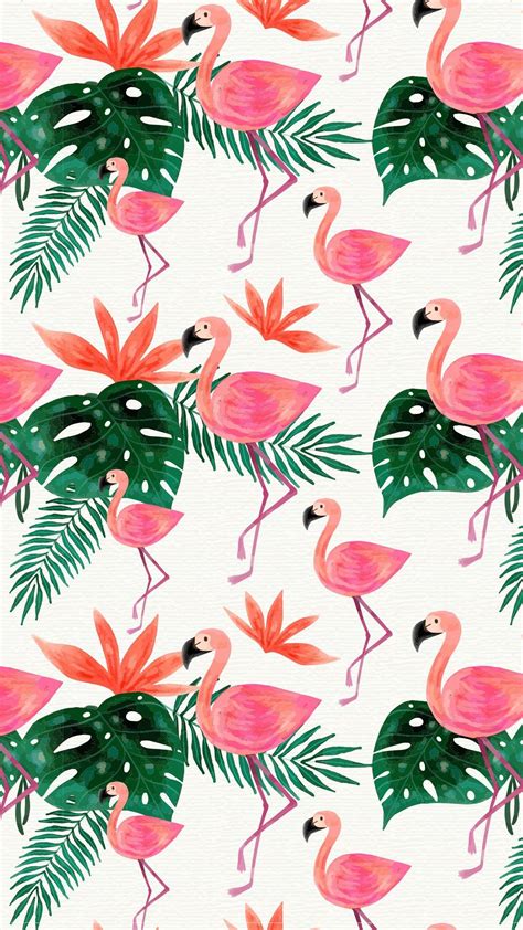 Tropical Flamingo Phone Wallpapers - Top Free Tropical Flamingo Phone ...