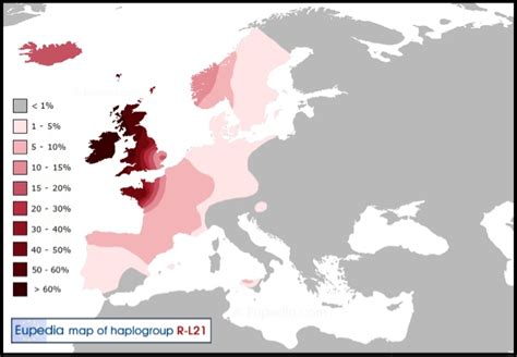 Luckie Scot Y-DNA Blog: Haplogroup R1b-L21 Map