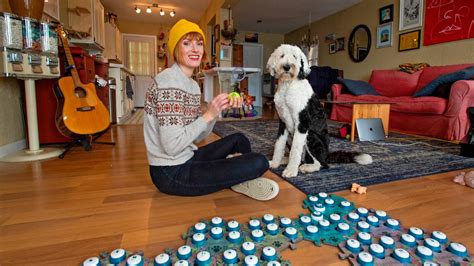 Bunny, the ‘talking’ dog from Tacoma, is TikTok sensation | Tacoma News Tribune