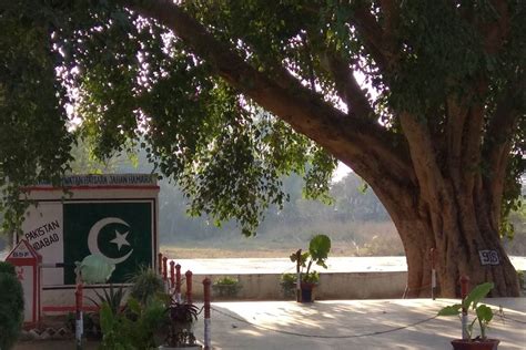 Unique banyan tree demarcates India-Pakistan border in Jammu - The Statesman