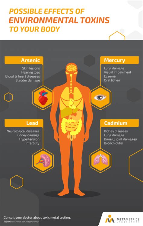 Heavy Metal Toxicity: The Unknown Cause of Heart Disease - MetaMetrics Laboratory