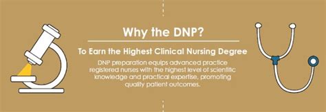 MSN vs DNP: What's the Difference? | WU Blog