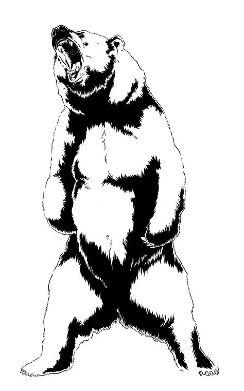 Bear Roar Drawing Art - roar png download - 1920*3086 - Free Transparent Bear png Download ...