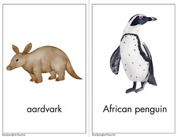 SAFARI ANIMALS FLASHCARDS by La Spanglish Teacher | TPT