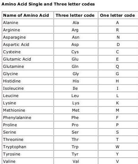 Amino Acid (types and classification) - Biology - BioChemiThon