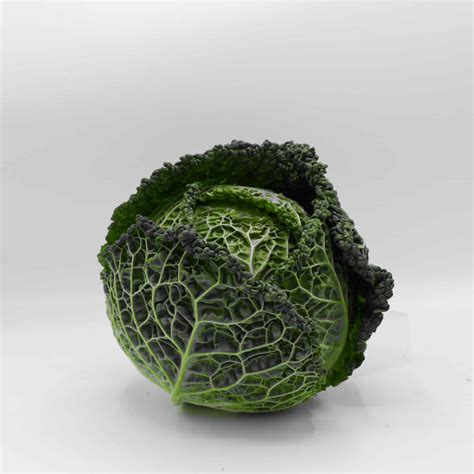 Cabbage (Savoy) - Marvellous Greens and Beans