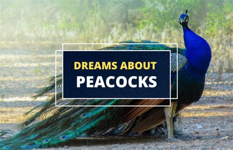 The Majestic Peacock: Symbolism Across Cultures