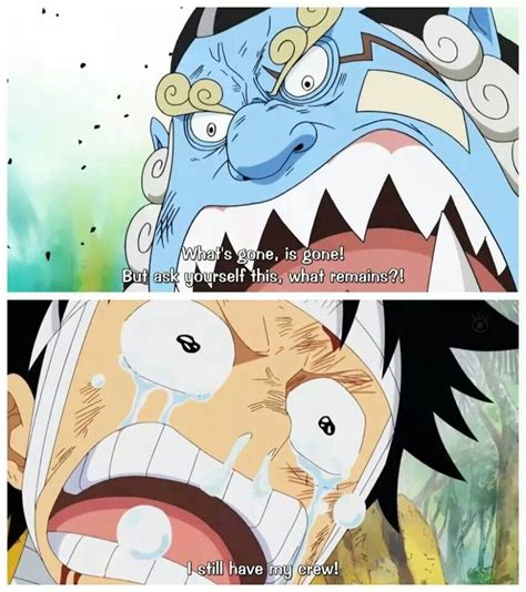 Jinbei #anime #manga | One piece manga, One piece anime, List of memes