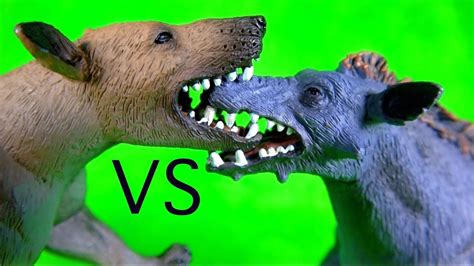 FIGHT BATTLE Entelodont Daeodon VS Hyaenodon Gigas REMATCH PREHISTORIC ...