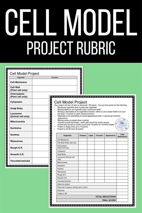 Cell Model Project Rubric | Cell model project, Rubrics for projects ...