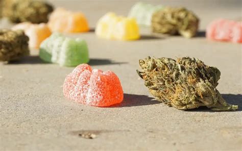 Comprehensive Guide To Cannabis Edibles - Being Human