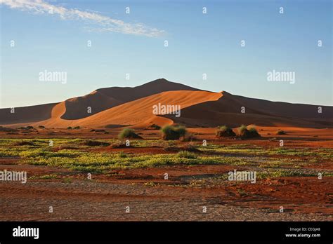 Landscape of Namib Desert Stock Photo - Alamy