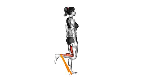 Resistance Band Leg Curl (female) - Video Exercise Guide & Tips ...