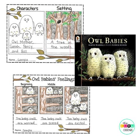 Teach young students about characters' feelings with "Owl Babies." Owl Babies Book, Baby Owls ...