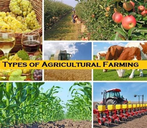 Basic 7 Types of Agricultural Farming with Pros & Cons - Basic ...