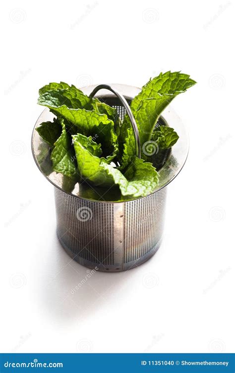 Mint tea with fresh leaves stock photo. Image of isolated - 11351040