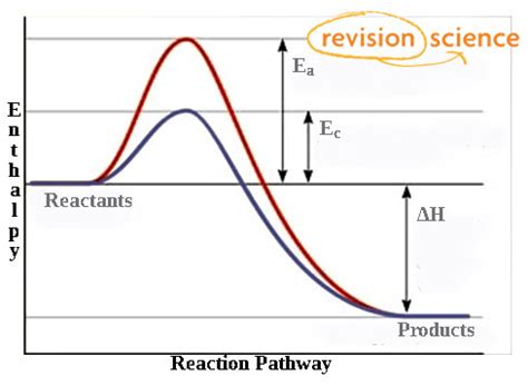 Catalysts - Chemistry A-Level Revision