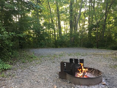 Gifford Pinchot State Park Camping | The Dyrt