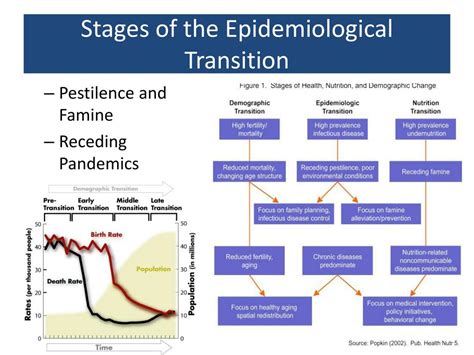 PPT - Foundations of Public Health PH-200 Fall 2008 PowerPoint Presentation - ID:3956908