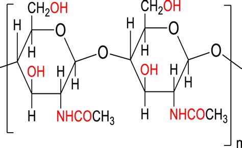 Chemical structure of chitin polymer | Download Scientific Diagram