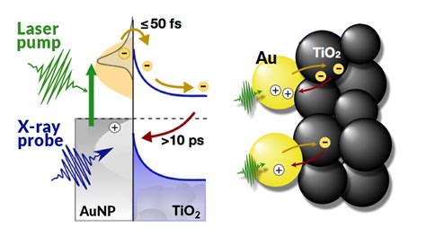 A Probe of Light-Harvesting Efficiency at the Nanoscale