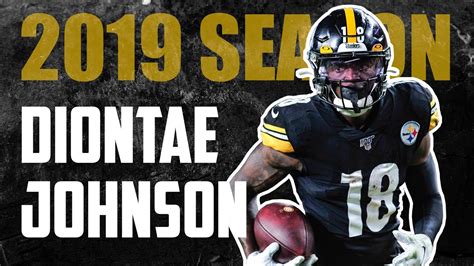 Diontae Johnson Highlights - Every Catch 2019 | Pittsburgh Steelers WR ...